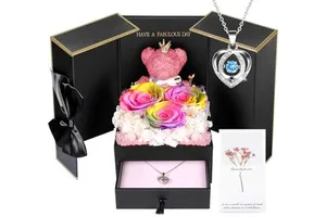 Preserved Real Rainbow Artificial Rose Silver Necklace Gift Set Romantic Valentine's Day Gifts for Wife Girlfriend Eternal