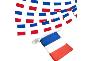 Wholesale French Small Mini Flag Pennants Banner France String Flag for Patriotic Events 14th of July French Bastille Day Decora