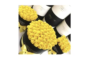 Mothers Day Promotional Gift Set-Durable Eco-Friendly Red Natural Preserved Rose Flower Arrangement