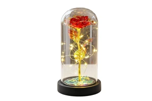 Eternal Rose Bouquet Glowing Ornament Birthday Gift for Girlfriend High-end Gift Box Set for Women