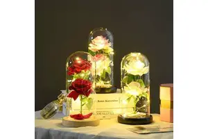 Valentine's Day Gifts Rose LED Night Light Gift for for Wife, Birthday Gifts