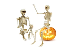 Halloween Decoration Full Body Realistic Life Size Plastic Creepy Cloth Life Size Halloween Skeleton For Party