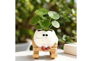 Adorable Joyful Face Plant Resin Eco-Friendly Lightweight Potted Planter Drainage Hole Creative Garden Decor For Thanksgiving