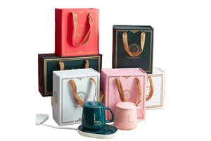 OEM Portable Electric Ceramic Thermostat Warm Cup for Constant Temperature Occasion Gift