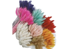 Wholesale 50Pcs/bunch Dried Lagurus Ovatus Rabbit Tails Grass Soft Long Lasting Home Decor for Easter Valentine's Day Christmas