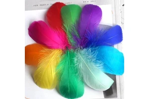 Decorate Feathers Diy Floating Dyeing Goose Feather Dream Catcher Wave Ball Gift Box Filling Decorative Materials Wholesale