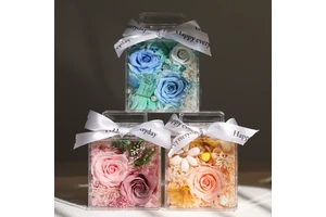 TC Wholesale Preserved Rose Flower Valentine Perfume Bottle Novelty Products Eternal Rose in Acrylic Box Christmas Decoration