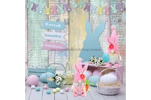 Newest Easter Faceless Bunny Doll Pink Plush Gnome Spring Big Nosed Rabbit Toys Handed Easter Eggs and Carrots Table Decoration