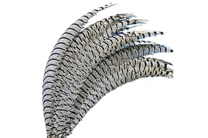 80-90cm Wholesale High Quality Hot Sale Carnival Natural Lady Amherst Pheasant Side Tail Feathers