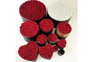 2025 New Product Valentine's Day Ideas Gift 100 Forever Rose Custom Logo Floral Fleur Immortal Flower Eternal Best Quality