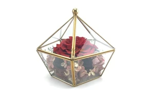 Thanksgiving Gifts Ideas Dried Preserved Flowers Craft Accessories Rose in Glass