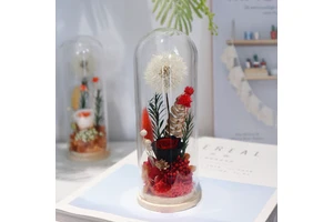 Preserved Dandelion in Glass Dome Eternal Flower Gift Yunnan Factory Valentines Day Mother's Day Teacher's Day Christmas Present