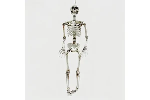 Cross Border Halloween Plastic Skeleton Model Garden Party Decoration Haunted House Props Waterproof Rechargeable Battery