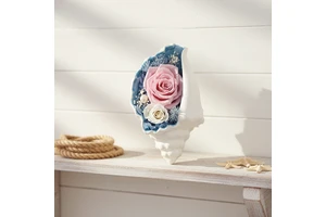 Preserved Flower Sea Shell Ornament Cross-Border Valentine's Day Creative Birthday Gift Preserved Flower Gift Box
