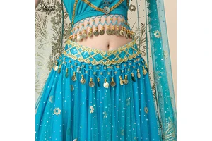 HY980 Festival Carnival Party Costume Bandage Skirt With Rhinestones Samba Belly Dancing Coin Beaded Tassel Hip Scarf