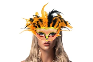 Halloween Carnival Parades Dancing Party Costume Masque Leather Facial Party Feather Masks for Women