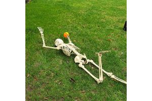 Hot Sale 165CM Standing Human Halloween Skeleton Festival Decoration Haunted House Props For Halloween Holiday Party Supplies
