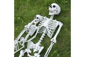 Custom Wholesale Party Supplies Halloween Accessories Haunted House Decorations 12FT Life Size Halloween Skeleton