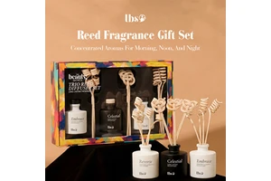 Luxury Eco-Friendly Christmas Plant Plastic Stick Reed Diffuser Gift Set