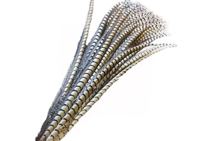 Cheap Lady Amherst Pheasant Dyed Pheasant Long Tail Feathers For Crafts Holiday Party Carnival