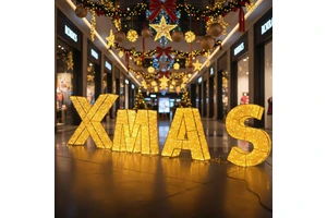 OEM ODM Product XMAS Letters Shape Waterproof Design Xmas Light Motifs 3D Motif Outdoor Christmas Lights