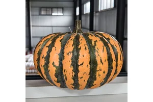 Thanksgiving Giant Realistic Pumpkin Halloween Home Display Decoration Item Retro Black and Orange Striped Realistic Pumpkin