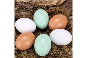 Unfinished DIY Painting Crafts Smooth Standing Decorate Various Sizes Cartoon Style Hot Selling Wholesale Wooden Easter Eggs