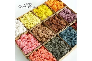 HFloral Wholesale 200g Box Eternal Green Preserved Moss Panels for Restaurant Hotel Wall Decor Valentine's Day Long Lasting 3-5