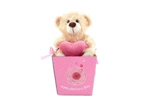 Super Soft Plush Stuffed Animal Bear Doll Teddy Bear Comforter Mother's Day Gift Box for Christmas Graduation New Year