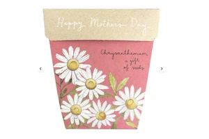 Mother's Day Earth Day Children's Day Gifts Most Creative Promotional Flower Gift Item Ideas
