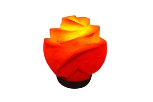 Pink Salt Flower Lamp Handmade Bedroom Table Lamp OEM ODM Manufacturer Custom Wholesale Product Manufacturing