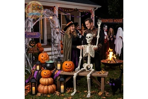 Adjustable Joint Plastic Human Skeleton Halloween Horror Pumpkin Ornament HX Brand Model A-089