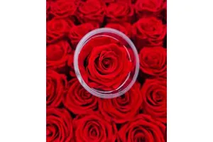 Preservation Eternal Rose Handmade Natural Preserved Flowers All Colors Customizable Long Lasting 3-5 Years Graduation New Year