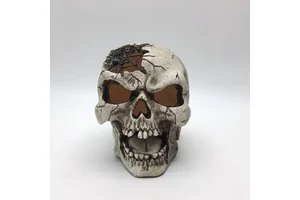 Selling Human Life Size Skeleton Plastic Skeleton Halloween Model