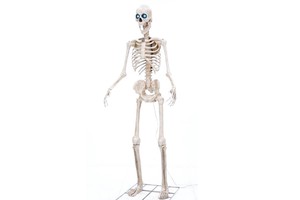 Outdoor Yard Decoration 8FT Projection Eyes Towering Spooky Creepy Standing Human Giant Halloween Skeleton