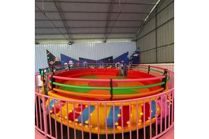 Fairground Carnival Rides Amusement Rides Rotating Disco Tagada Price for Sale