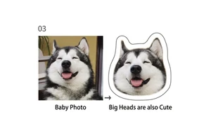 Richy RQ064 Shape Customized Polyester Plush Pillow Personalized Thanksgiving Gift Heat-transfer Printing Image Cushion PP