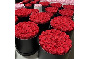 Lovebay Eternal Life Preserved Roses For Christmas Mother's Day Real Roses Gift In Box Forever Infinity Immortal Rose Flower