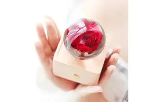 Happy New Year Product San Valentin Valentine's Day Birthday Gift for Bridesmaid Her Girlfriend Wife Dandelion Rose Flower Light
