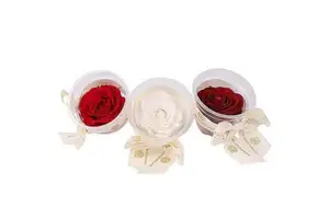 Mini Eternal Real Rose Head Party Favor Set of 4 Natural Preserved Roses for Mother's Day & Valentine's Day Gifts