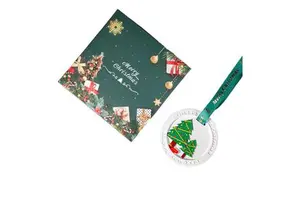 SHILI Popular Eco-Friendly Christmas Long-Lasting Flameless Reed Diffuser Pure Essential Oil 100ml Customized Fragrance Plant