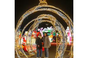 Best Selling Products Big Light Show Christmas Led Motif Christmas Lights Show Displays