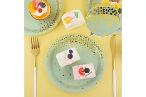 Happy Birthday Disposable Dinnerware Sets Kids Birthday Party Supplies with Paper Plates Salad Trays for Birthday Decorations