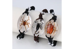 Insect in Resin Bug Spider Braided Rope Bangle Insect Preserving Resin Bracelets Real Scorpion Bracelet for Men Souvenirs Gift