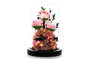 New Product Ideas 2024 Forever Preserved Roses Dome Valentine Day Thank Anniversary Birthday for Women Wife Girlfriend Gift Item