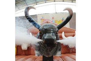 Mechanical Bull Ride Machine Adults Bull Inflatable Mechanical Amusement Rides Bull Riding Machine Mechanical Bull For Sale