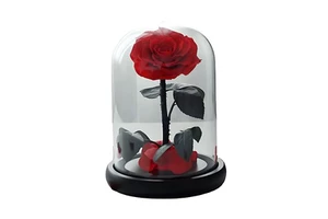 Wholesale Classic Heart-Shaped Forever Roses LED Light Preserved Flowers for Valentine's Day