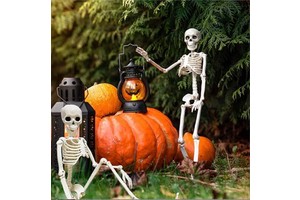 Human Life Size Halloween Decorations Props Large Animated Movable Joints Halloween Skeleton for Sale