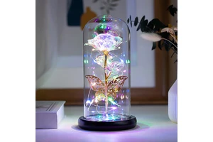 Best-selling Product Valentines Day Gift for Occasions Christmas New Year