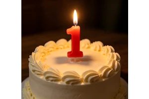 Red Number Birthday Candles 0-9 Single Cake Candles, Plastic Holder Number Candles for Kids Adult Birthday Party Cake Decoration